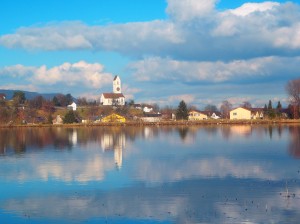 Karpfenteich Suhr